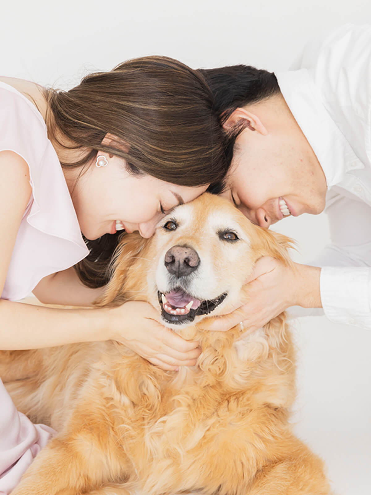 犬が飼い主に囲まれている写真