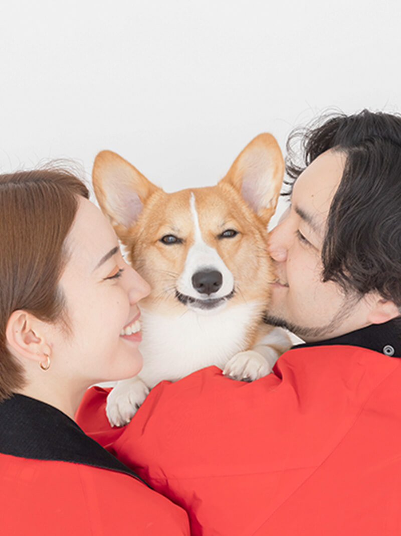 飼い主に囲まれている犬の写真