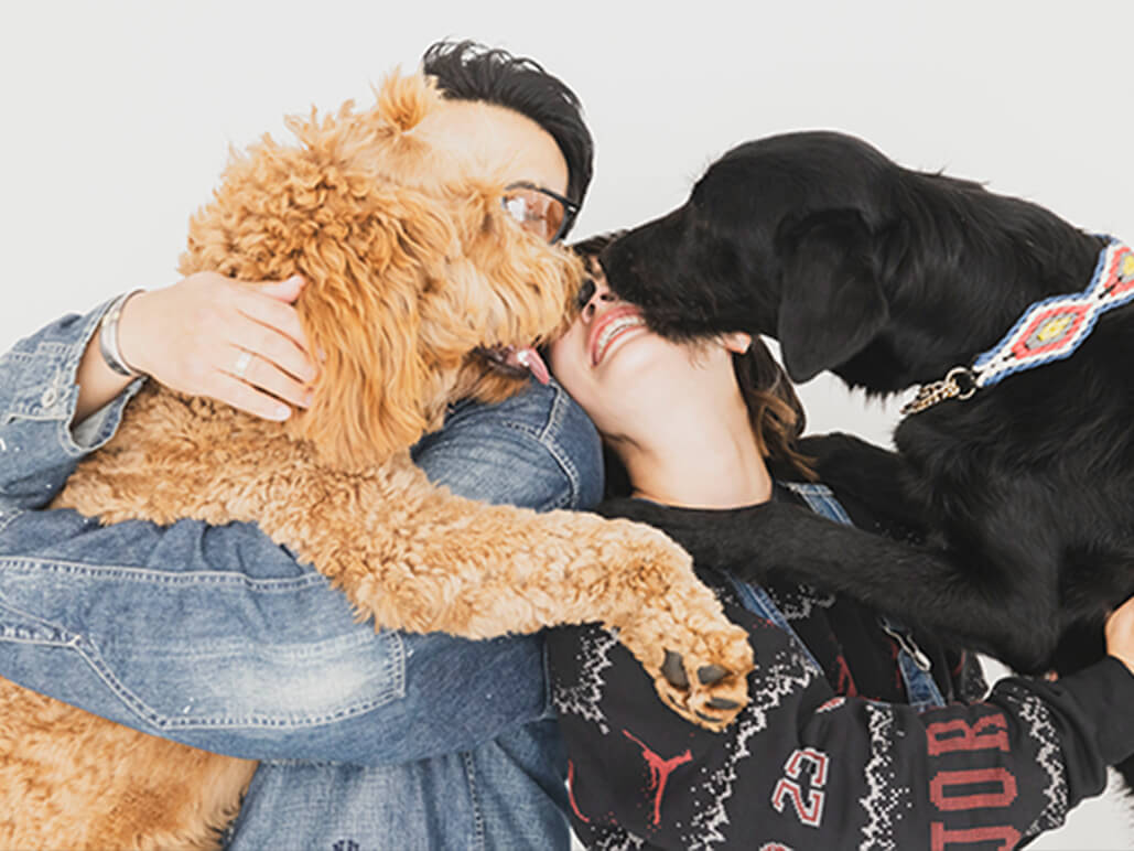 飼い主と犬が抱き合う写真