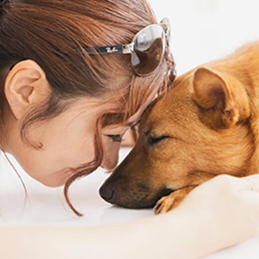 犬と人間が座ってる写真