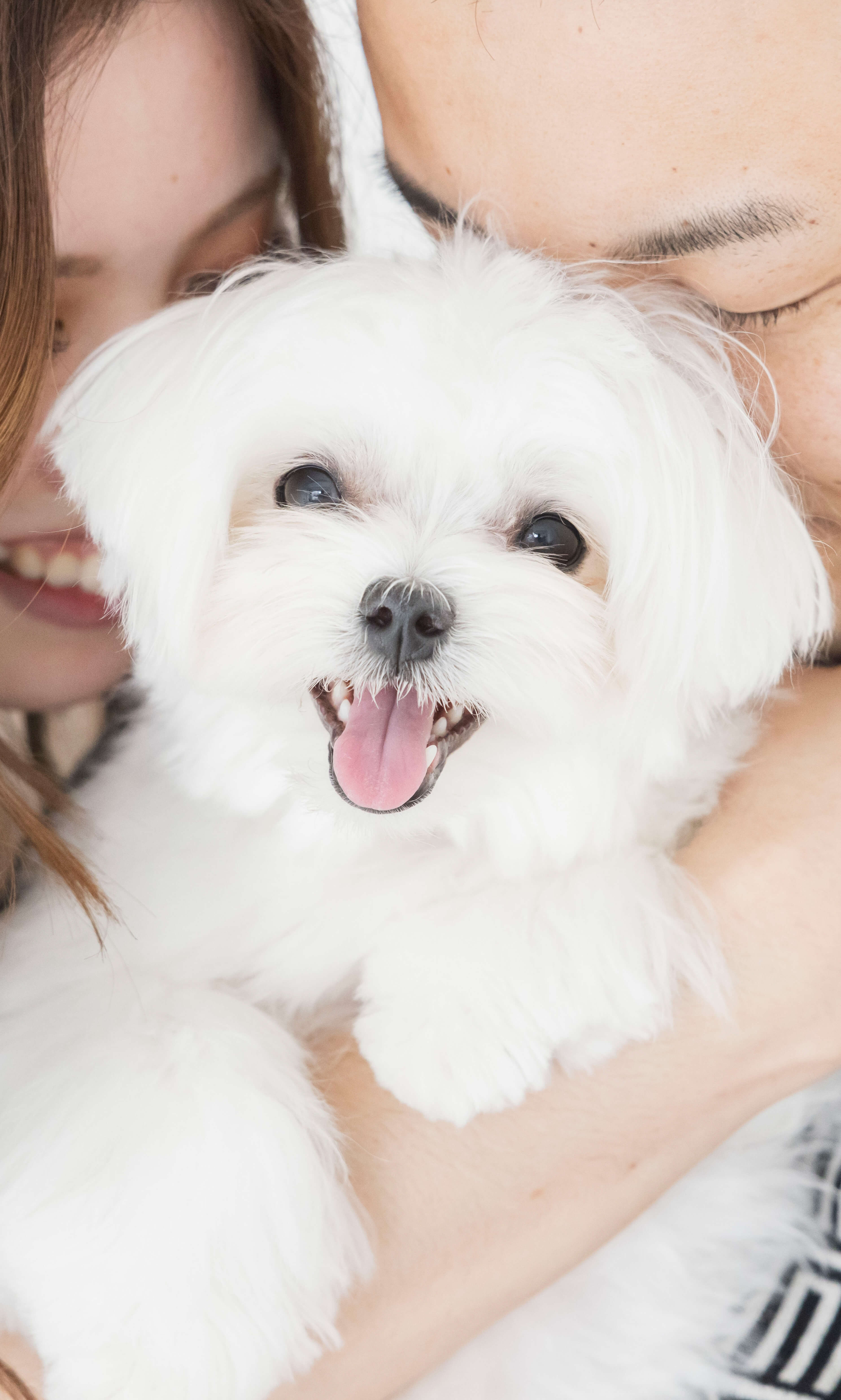 カップルが犬を抱きしめている様子