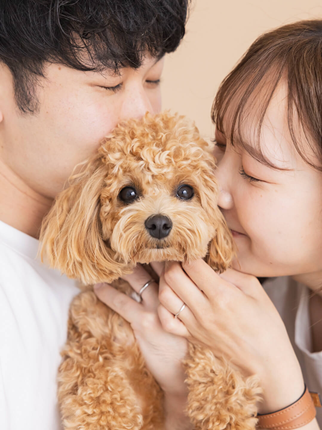 人間二人に犬が囲まれている写真