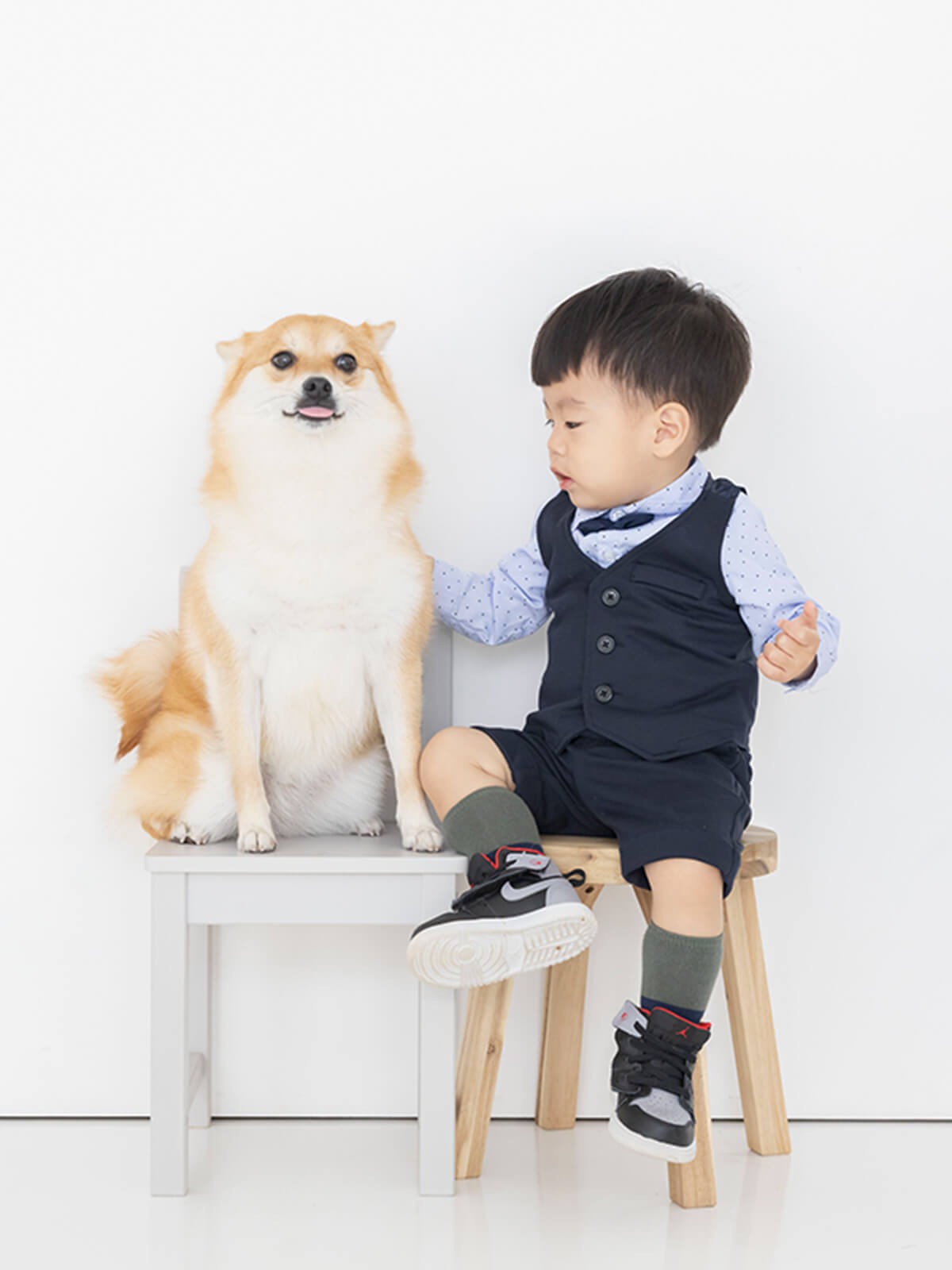 犬と子供の写真