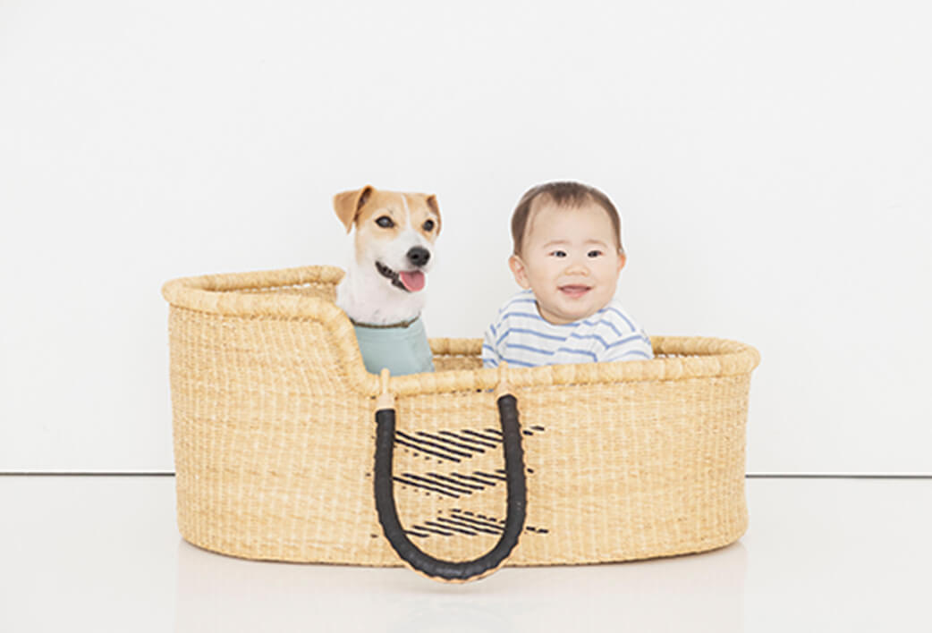 赤ちゃんと犬の写真